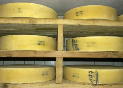 Überwachung aller HACCP-kritischen Elemente